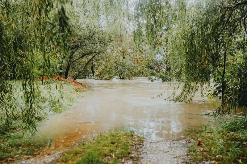 Person centred planning will save lives in storms